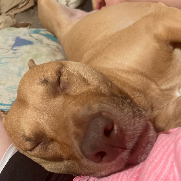 Meet your Posher, Stephanie - Picture 11 of 17